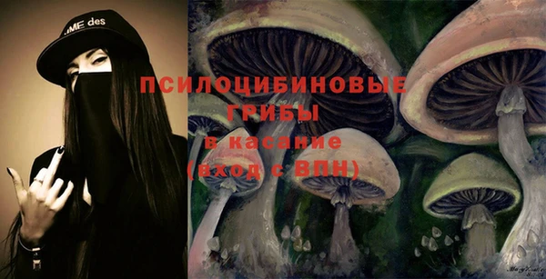 МДПВ Абаза