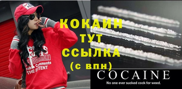 молекула духа Семилуки