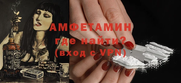 мет Алексин