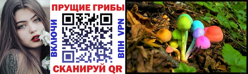 наркота  Кириллов  Галлюциногенные грибы Cubensis 